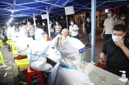 中国房子爆料视频最新消息,爆料视频揭示房价走势与政策动向
