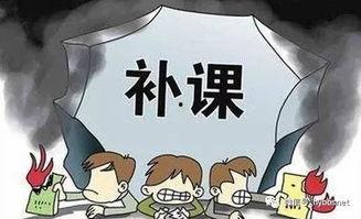 葫芦岛补课爆料视频大全,揭秘教育乱象背后的真相