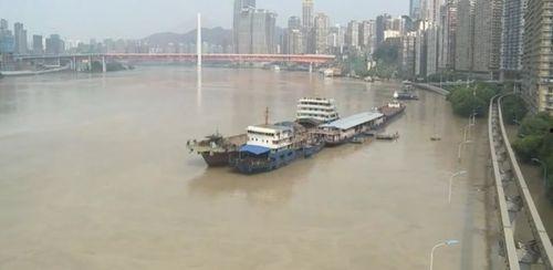 重庆洪水最新爆料信息网,紧急救援与灾情实时追踪  第3张