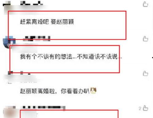 荷兰回应内讧视频爆料网,官方回应与真相揭秘