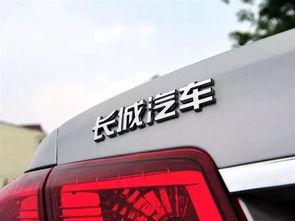 蔡老板爆料长城汽车视频,蔡老板揭秘企业真实面貌