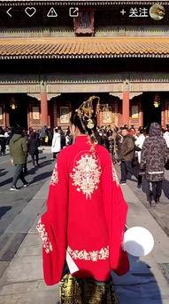 故宫最新爆料视频大全集,最新爆料视频大全集深度解析 第1张 故宫最新爆料视频大全集,最新爆料视频大全集深度解析 第1张