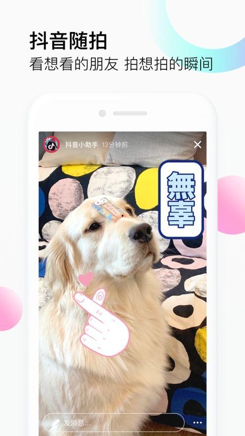 抖音狗崽爆料视频,揭秘热门视频背后的故事
