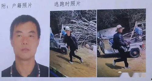 焦家金矿爆料事件视频完整版,揭露矿场内幕的震撼视频全解析 第2张 焦家金矿爆料事件视频完整版,揭露矿场内幕的震撼视频全解析 第2张