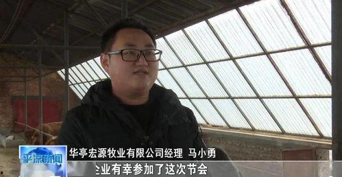 五叔爆料牛叔视频,牛叔视频背后的惊人真相 第3张 五叔爆料牛叔视频,牛叔视频背后的惊人真相 第3张