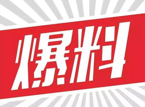 九号最新产品爆料图片,颠覆想象，科技与时尚的完美融合”