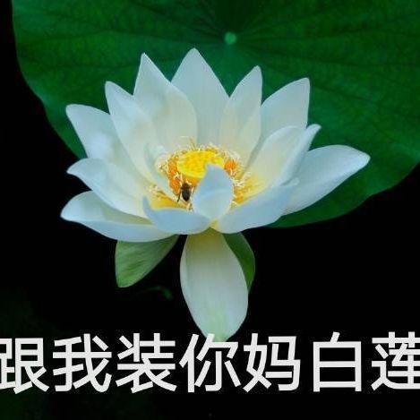 网红吃瓜八卦图,娱乐圈幕后真相大曝光  第3张