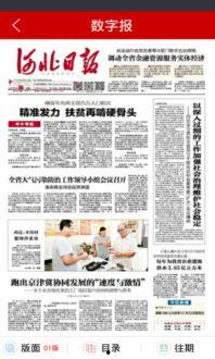 河北省最新爆料消息,揭秘重大事件背后真相
