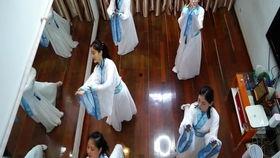 白狐跳舞视频在线观看,网络视频惊艳亮相