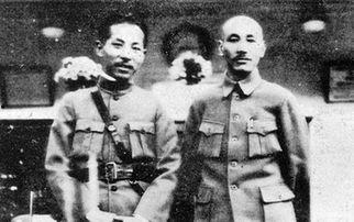 《张学良》在线观看,揭秘东北军领袖的传奇人生  第3张