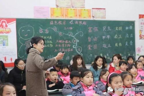 爆料扬子洲中学事件视频,真相与争议交织