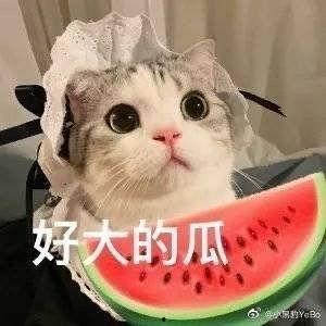 网红泄密吃瓜,一场吃瓜盛宴背后的秘密与真相