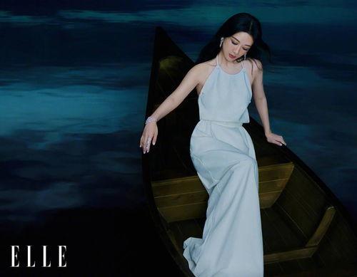 娱乐大爆料杨紫头条新闻,娱乐大爆料背后的精彩瞬间