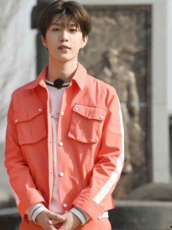 圈内爆料范丞丞秦岚,幕后故事曝光引热议