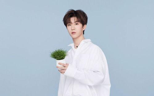 圈内爆料范丞丞秦岚,幕后故事曝光引热议 第3张 圈内爆料范丞丞秦岚,幕后故事曝光引热议 第3张