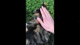 谁爆料杜冥鸦的视频播放,揭秘背后惊人真相！