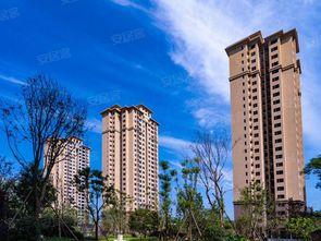 恩阳置信二期爆料今日,揭秘项目亮点与未来前景  第2张