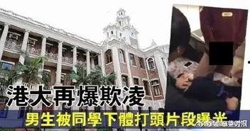 香港学校爆料案件最新,揭开校园安全与教育监管的隐秘面纱 第3张 香港学校爆料案件最新,揭开校园安全与教育监管的隐秘面纱 第3张