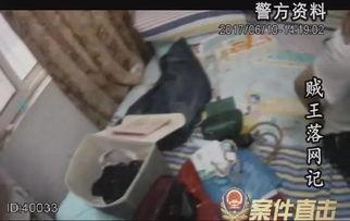 贼王最新爆料视频大全集,最新爆料视频大全集深度解析  第2张