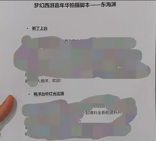 新丁杨洋最新爆料视频,幕后故事与心路历程