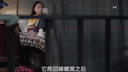 爆料小孩姐姐视频播放