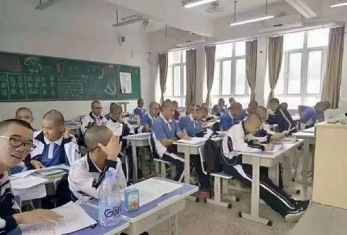 普宁职校爆料事件最新,真相与争议交织的校园风云  第3张