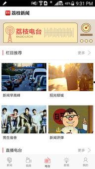 荔枝新闻怎么爆料报料人,轻松爆料，共建和谐社区  第2张