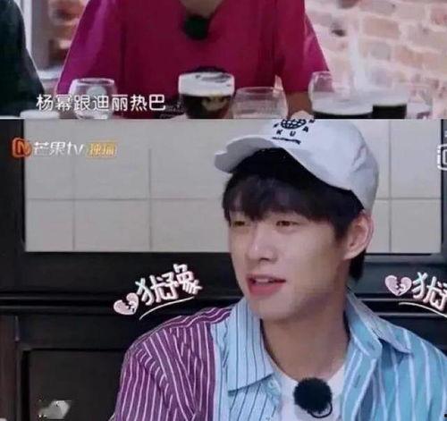 娱乐圈吃瓜爆料肖战杨紫,娱乐圈的甜蜜瓜田，揭秘他们的幕后故事  第2张