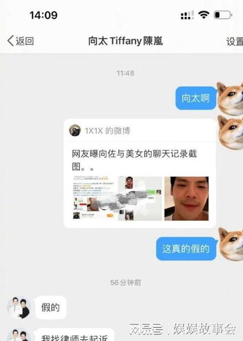 网红爆料拆迁视频大全最新  第2张