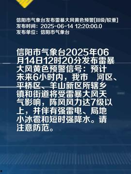 河南信阳今日头条爆料,揭秘事件真相  第3张