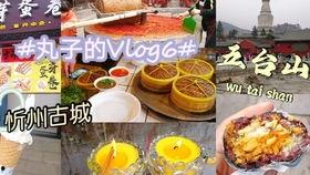 忻州美食爆料事件视频播放,视频揭秘当地特色美食背后的故事