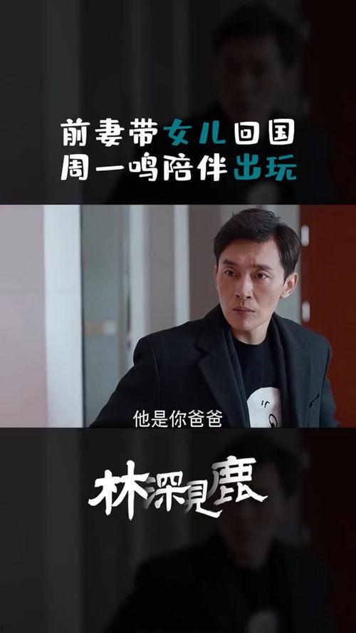 周老板最新爆料视频,最新爆料视频深度解析