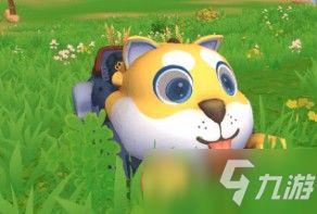 创魔最新贝壳许愿池爆料  第2张