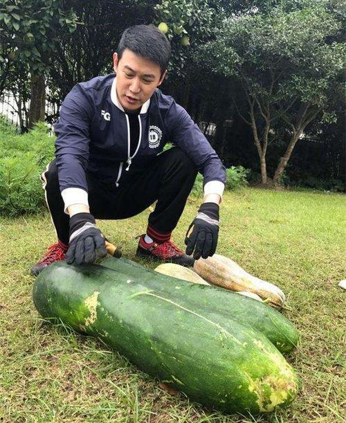 山南以北的瓜最新爆料,揭秘瓜王争霸背后的秘密  第3张