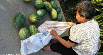 吃瓜最新事件爆料新沂,吃瓜群众揭秘最新事件内幕 第2张 吃瓜最新事件爆料新沂,吃瓜群众揭秘最新事件内幕 第2张