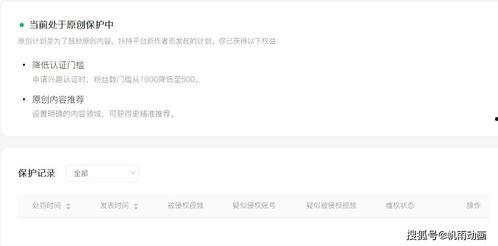 盗视频者爆料,揭秘网络盗视频黑幕  第3张