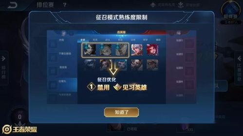 最新爆料王者,神秘英雄即将登场，游戏格局再掀风云  第2张