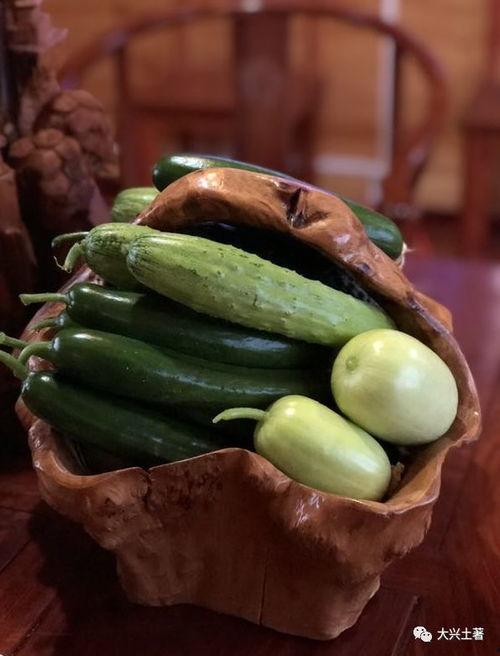 各种吃瓜网红视频大全,笑料百出，精彩纷呈！  第3张