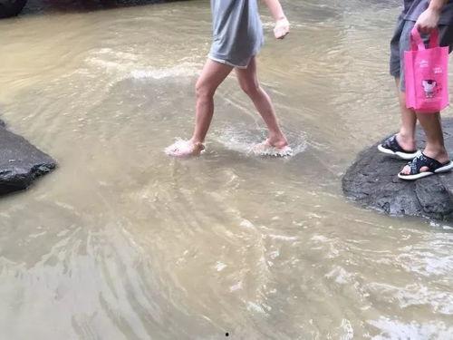 惠阳下水道爆料视频大全,揭露城市“地下病”  第3张