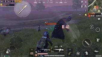 和平精英最新爆料猫教官,神秘角色即将登场，战局再起风云