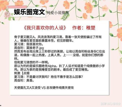 爆料娱乐圈的小说,揭秘明星背后的秘密与爱恨情仇  第2张