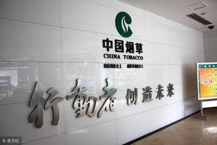 厦门烟草局最新爆料,最新烟叶种植与市场动态曝光  第3张