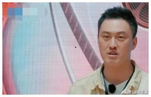 娱乐圈吃瓜爆料骗局,揭秘幕后真相，警惕网络谣言！  第2张